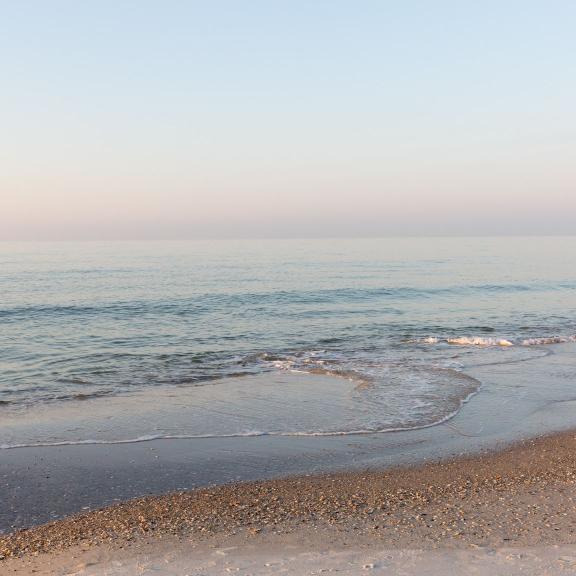 Fishing rod set up on the shore in Orange Beach